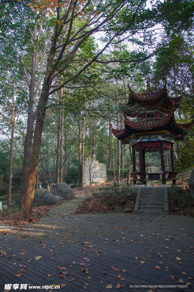 湖南省森林植物園