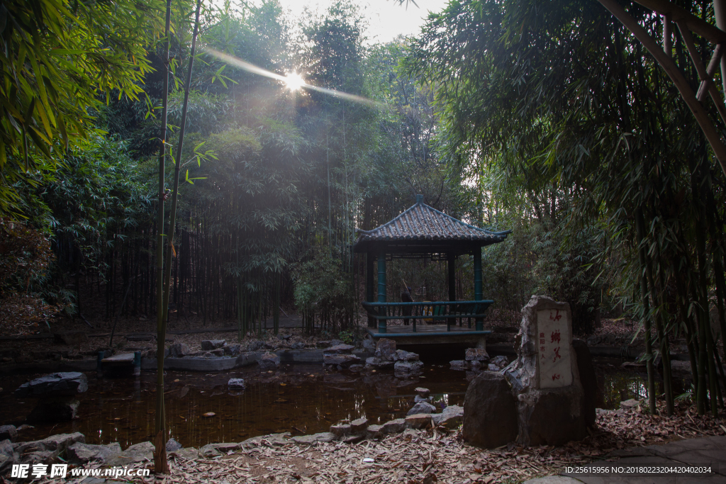 湖南省森林植物園
