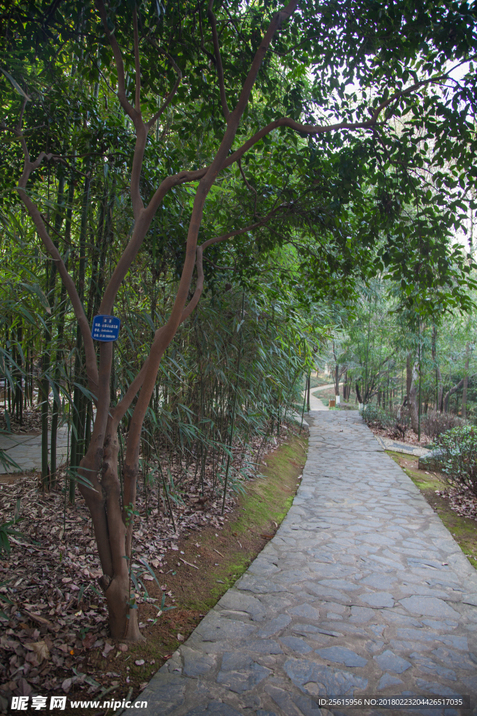 湖南省森林植物園