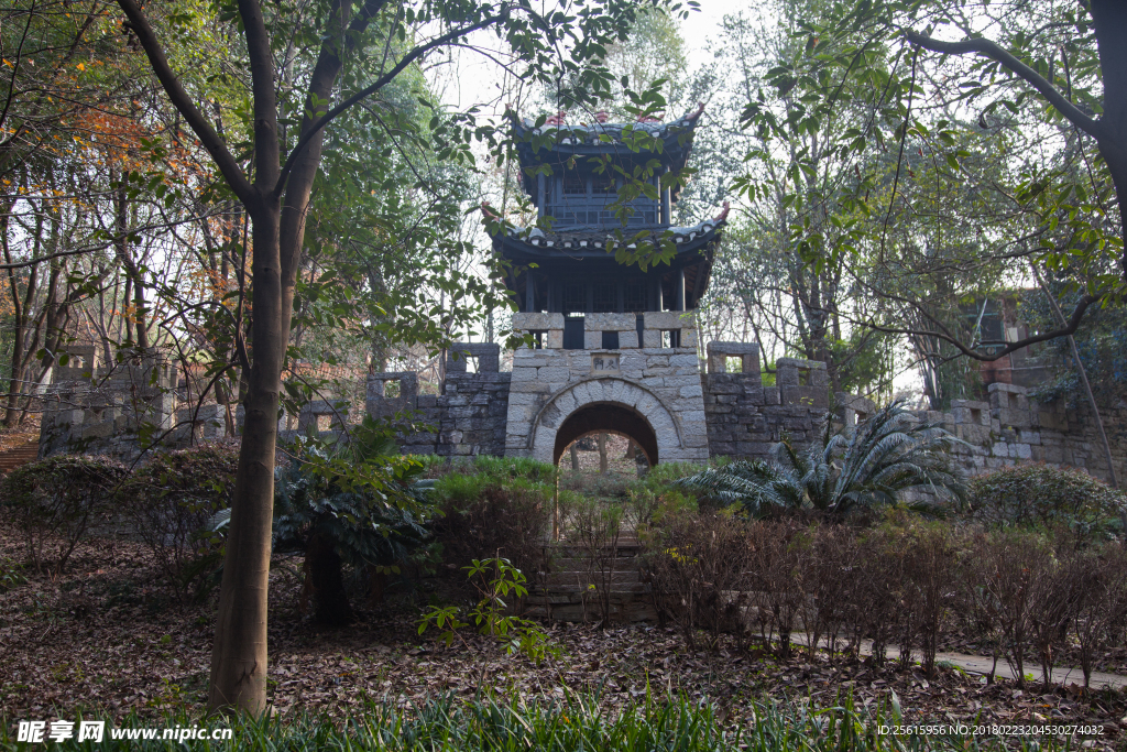 湖南省森林植物園