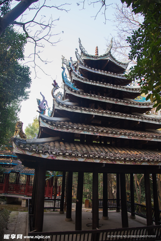 湖南省森林植物園
