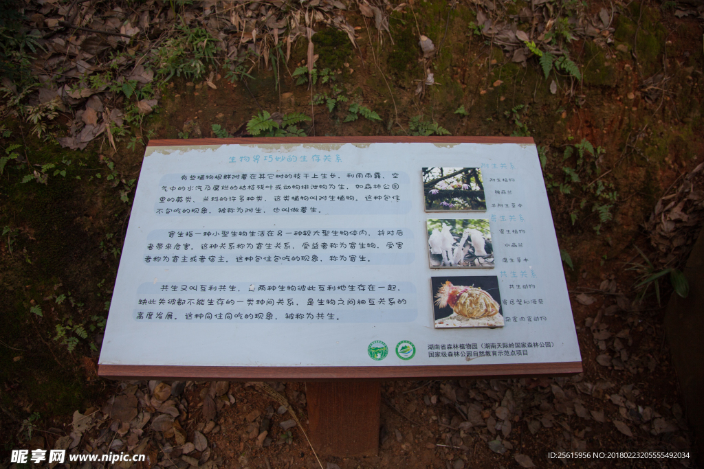 湖南省森林植物園