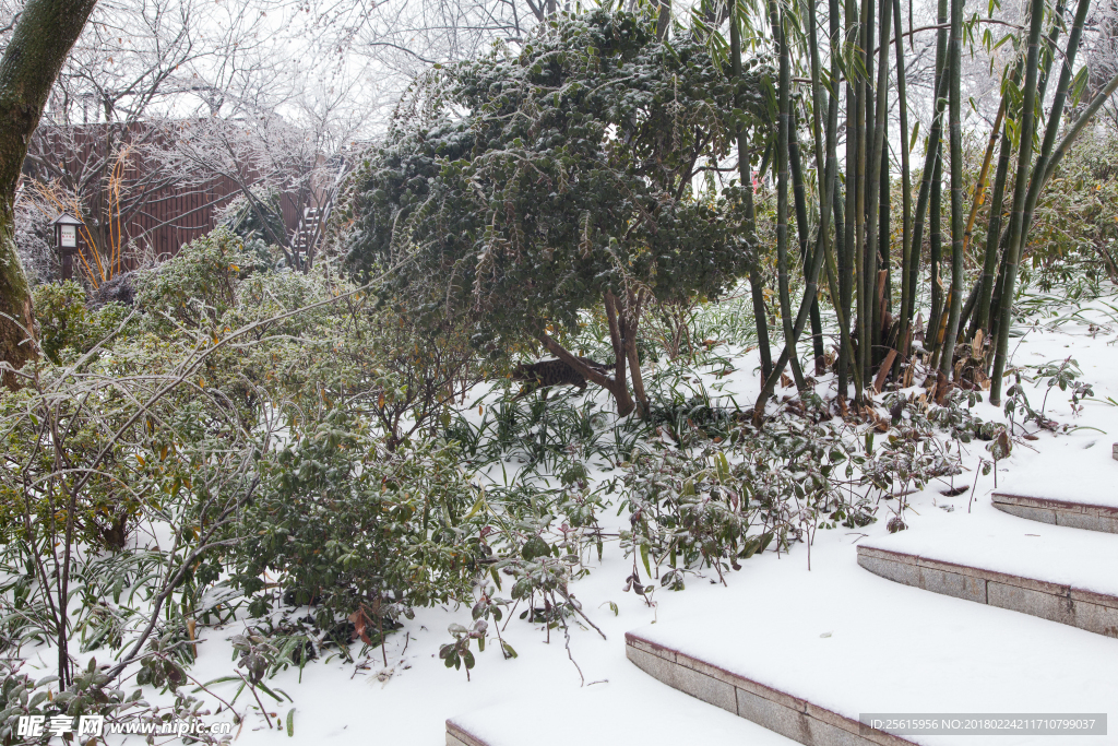 長(zhǎng)沙岳麓山雪景