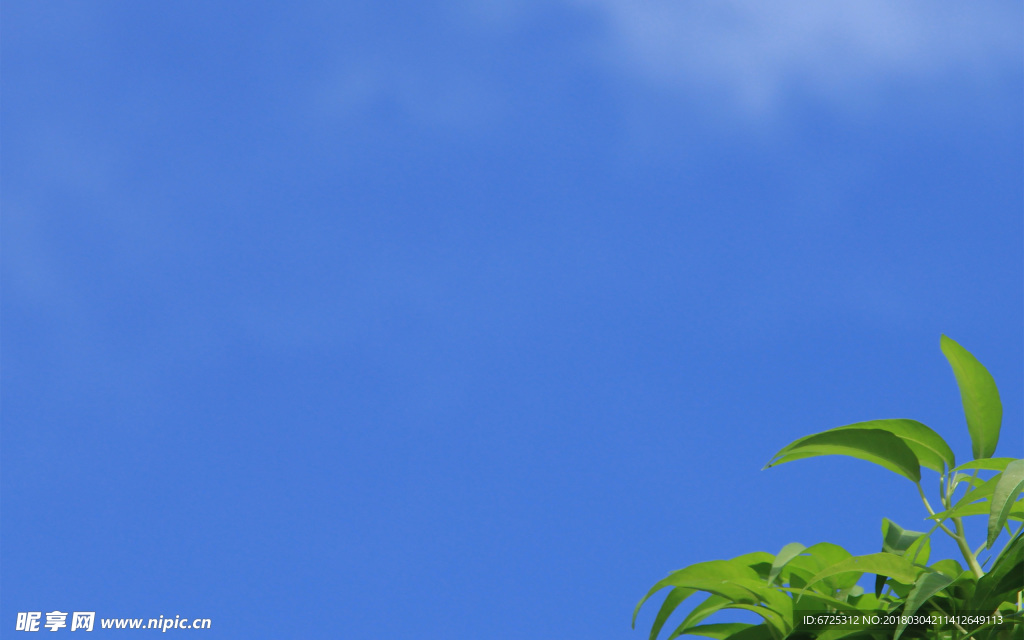 綠草藍天