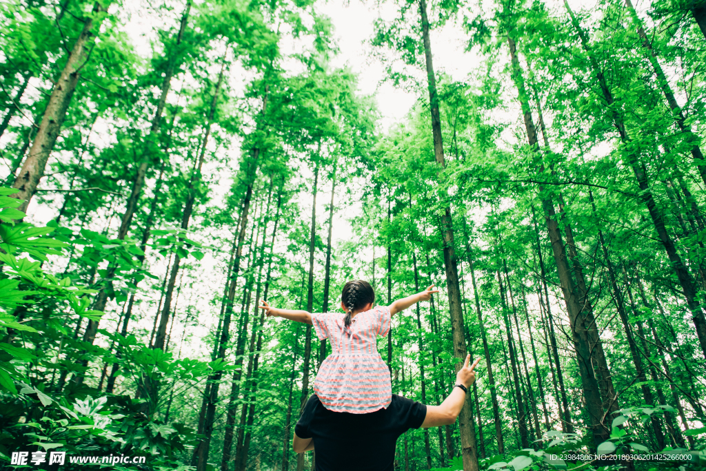 綠色 樹林 森林 父女 愛
