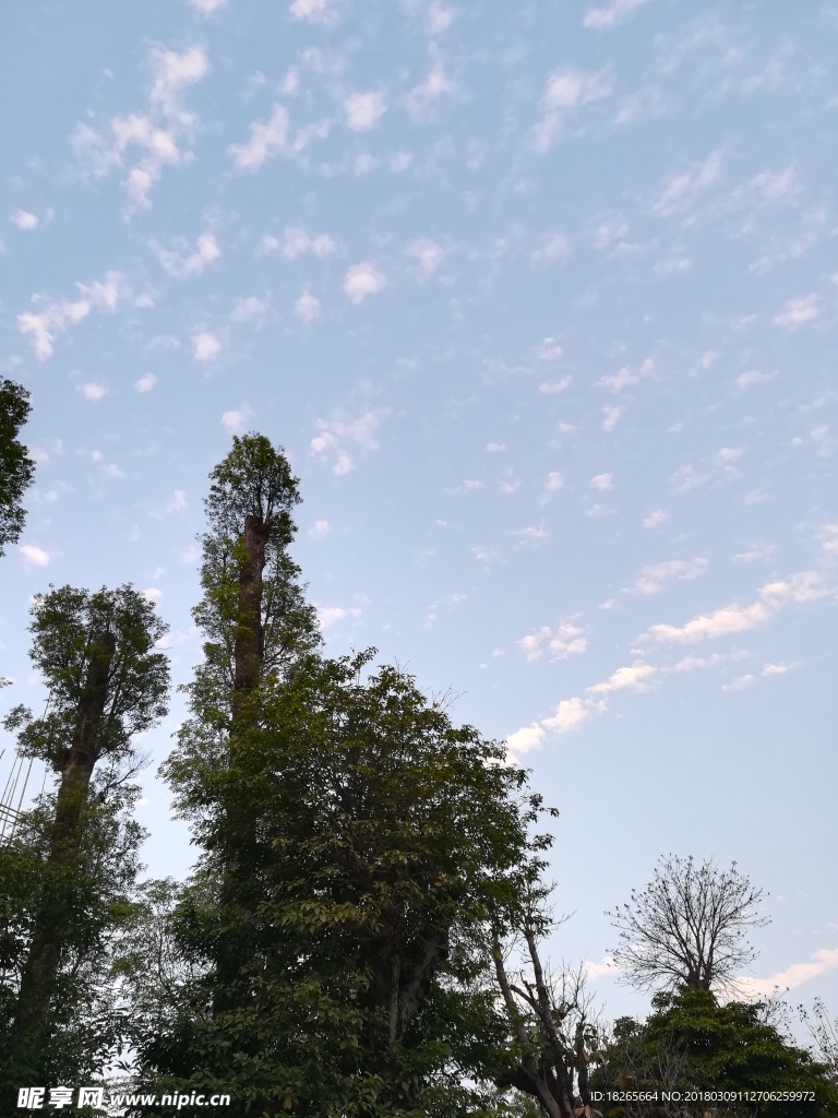 風景