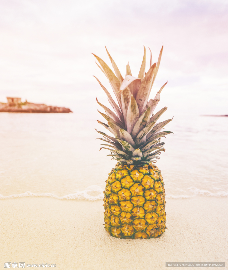 沙滩菠萝