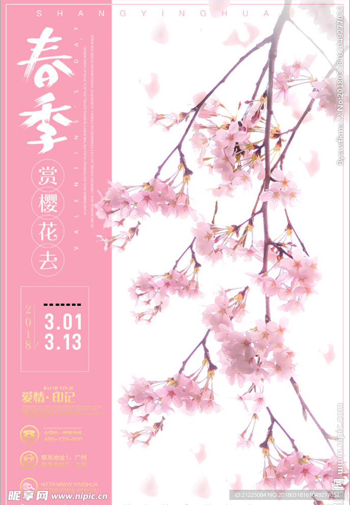 小清新春季赏樱花旅游海报