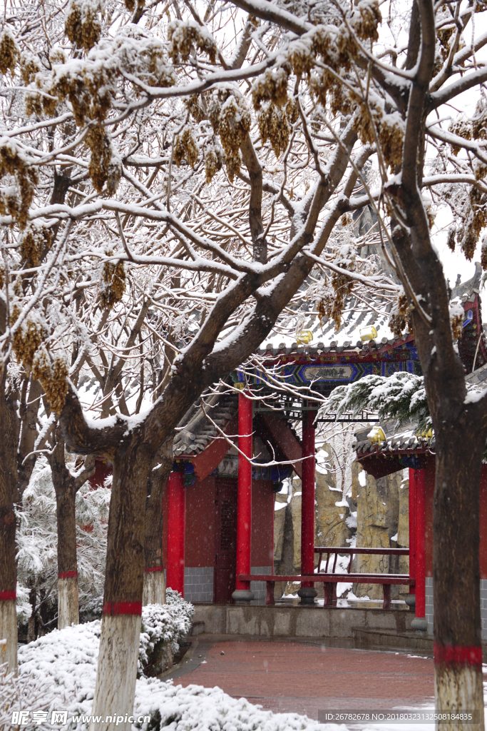 自然風景