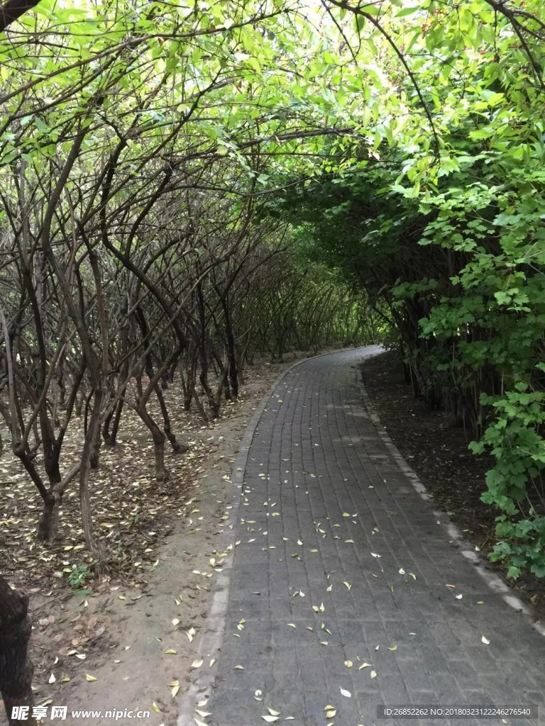 小路