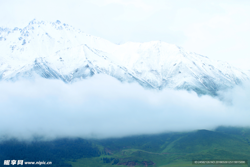 青海雪山