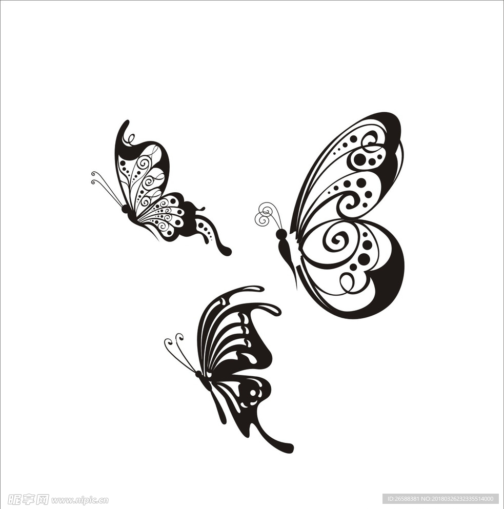 黑白蝴蝶