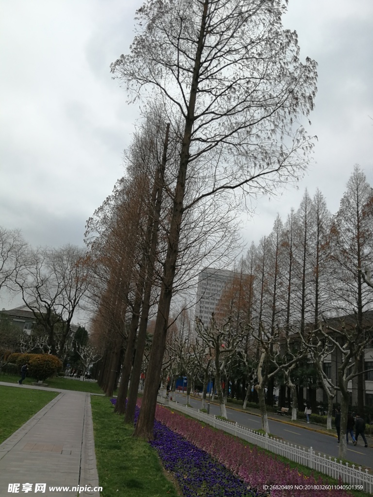 大學(xué)校園