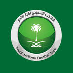 沙特国家队标志