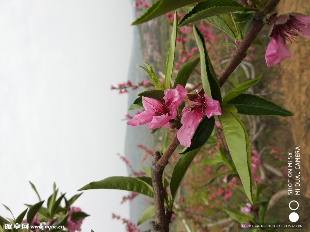 春暖花開
