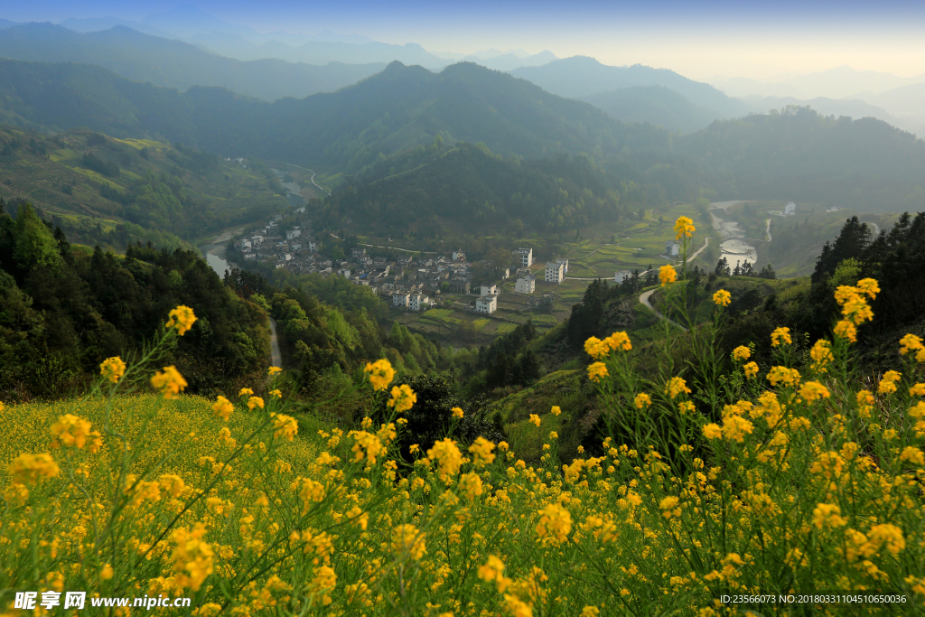 田园油菜花风景摄影