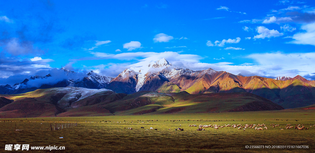 云南草原風景