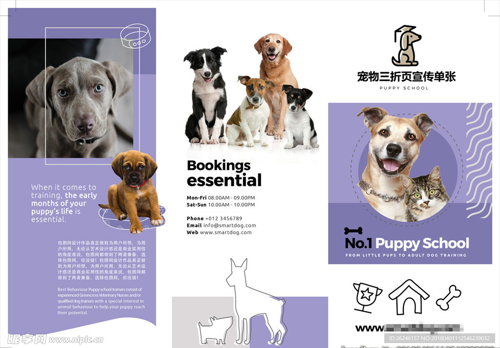宠物店三折页宣传单广告图片下载