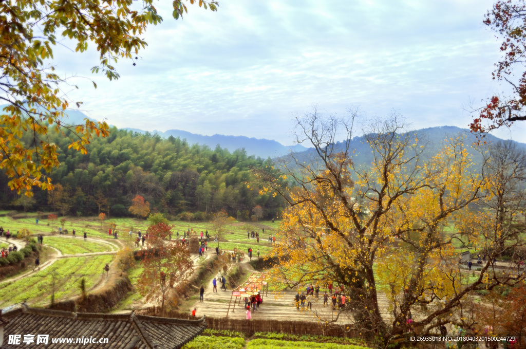 黃山旅游