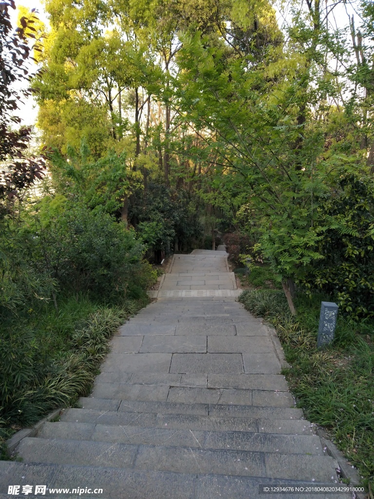 臺階