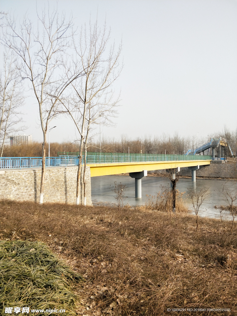 公園 天橋