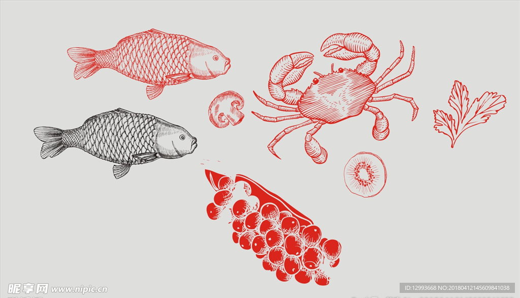 鱼螃蟹蘑菇矢量图