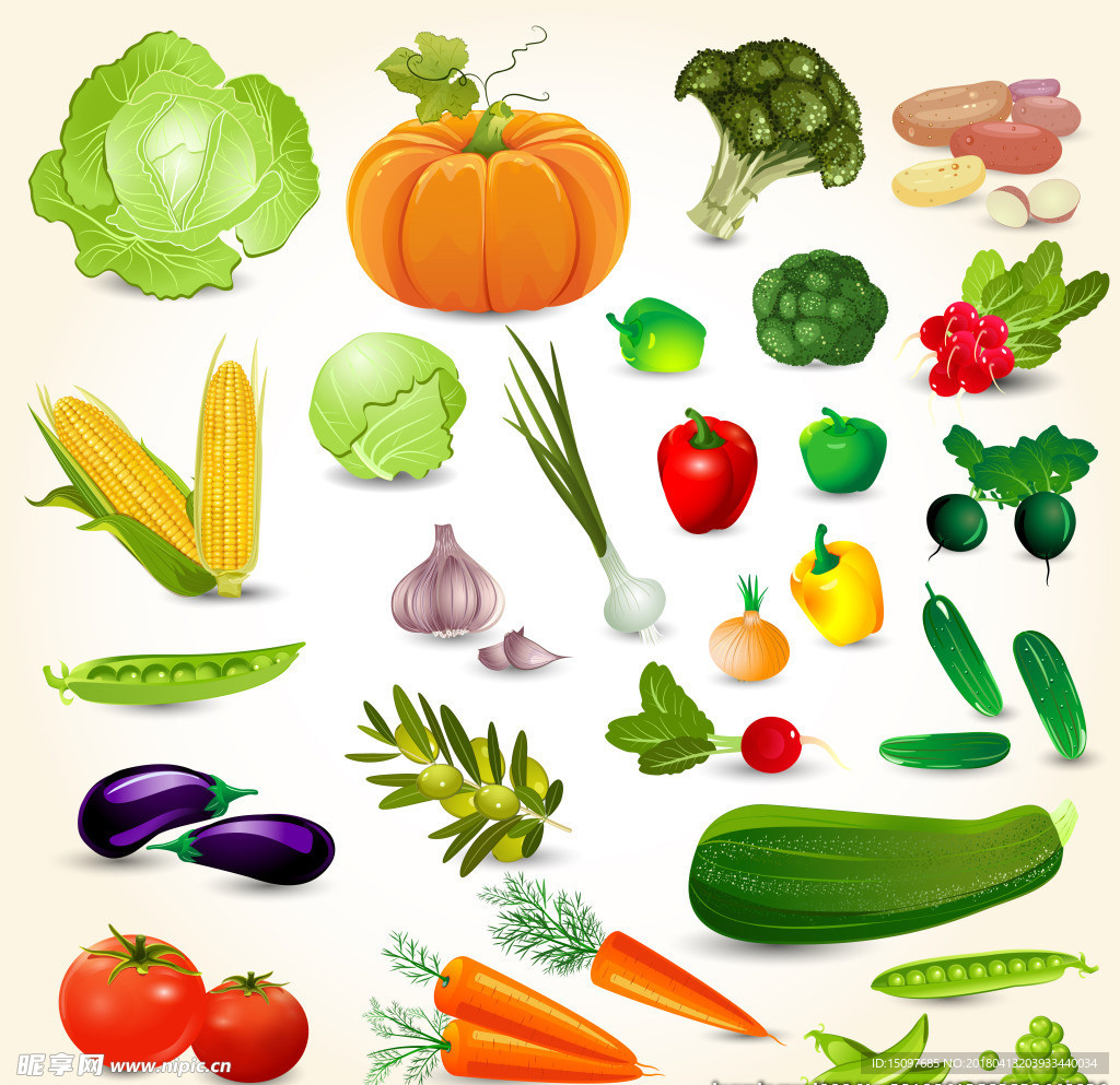 蔬果插画