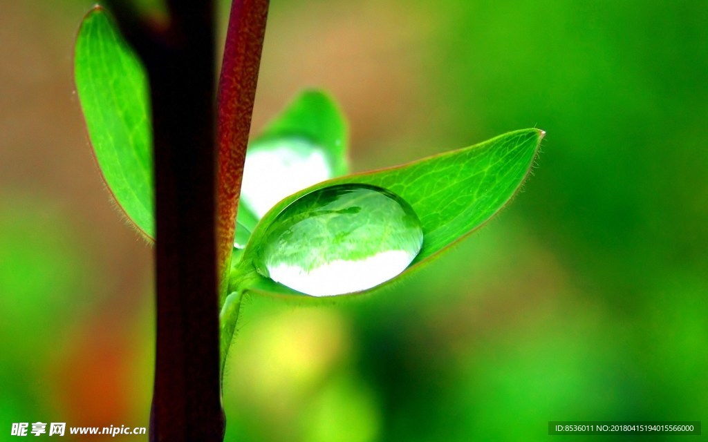 水滴水珠