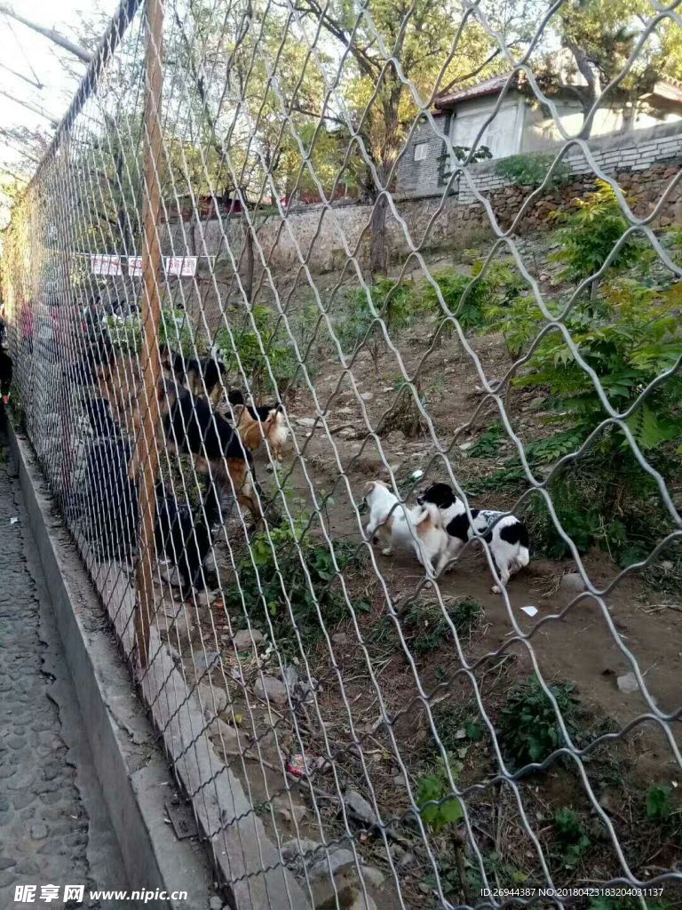 香山一角