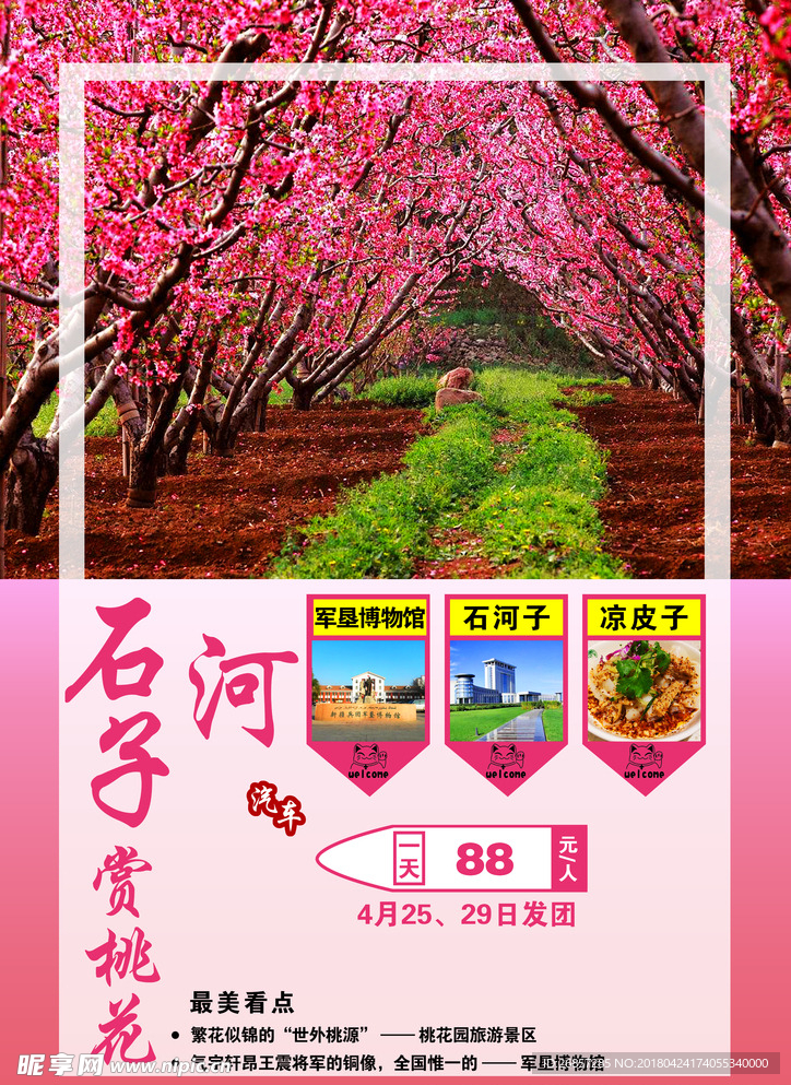 石河子赏桃花旅游海报