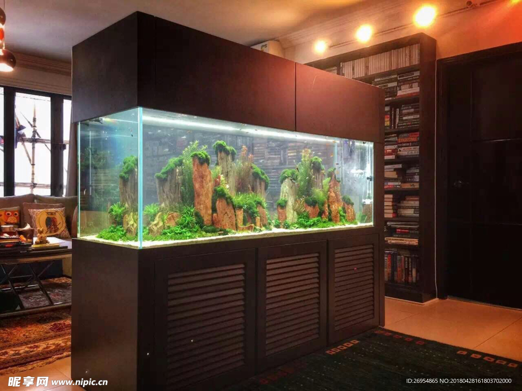 生態魚缸