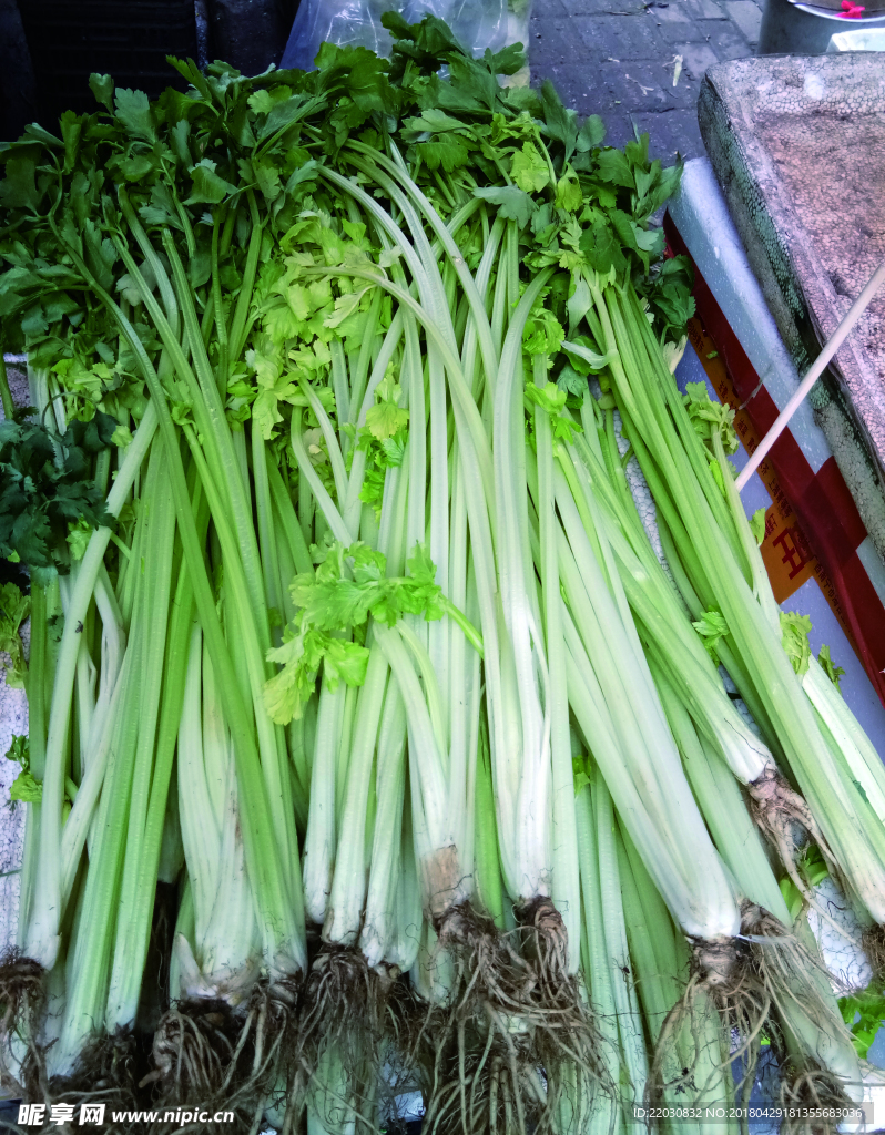 芹菜