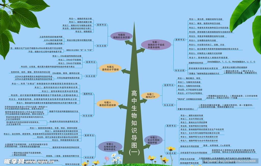 高中生物知识导图