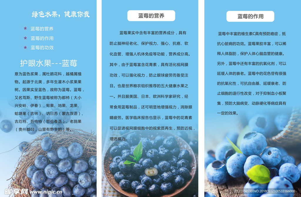 蓝莓宣传折页