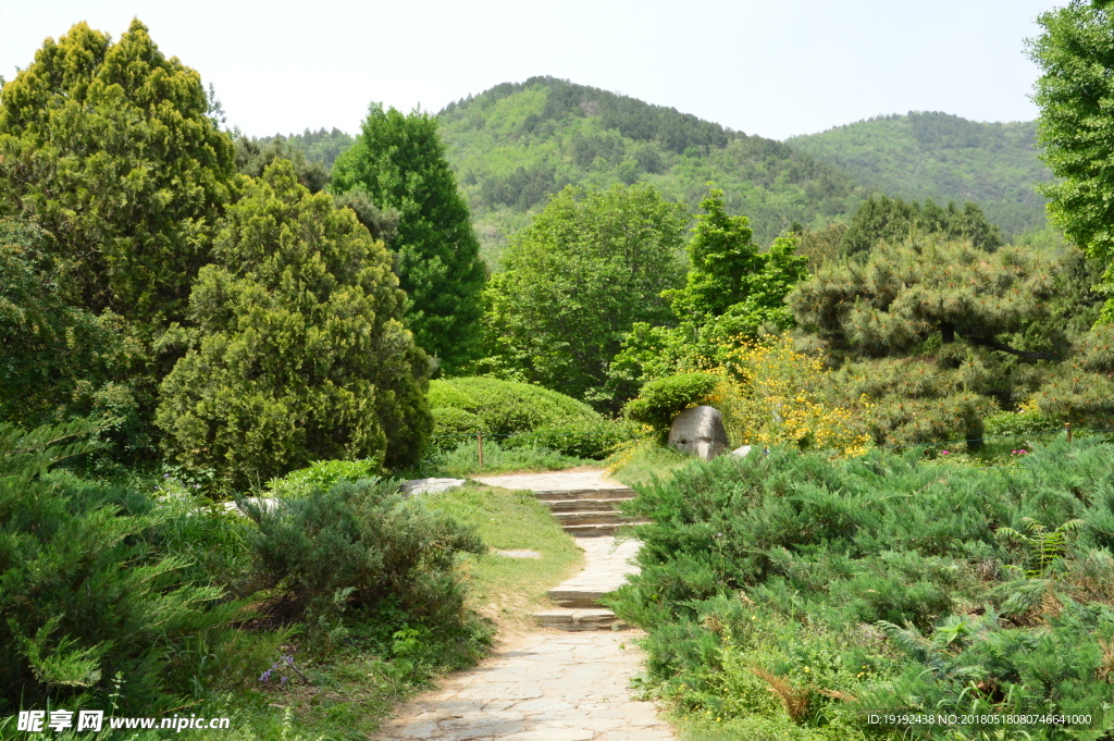 植物園風景