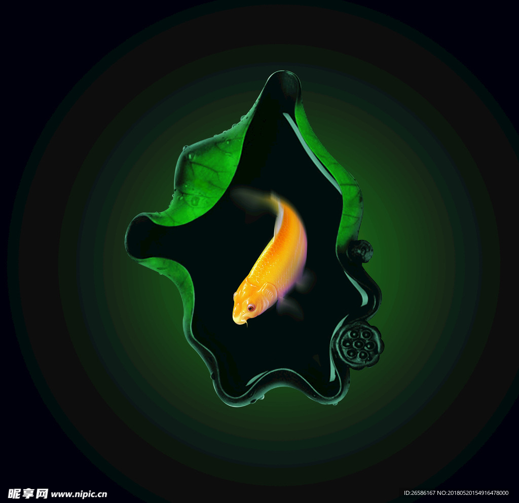 魚兒