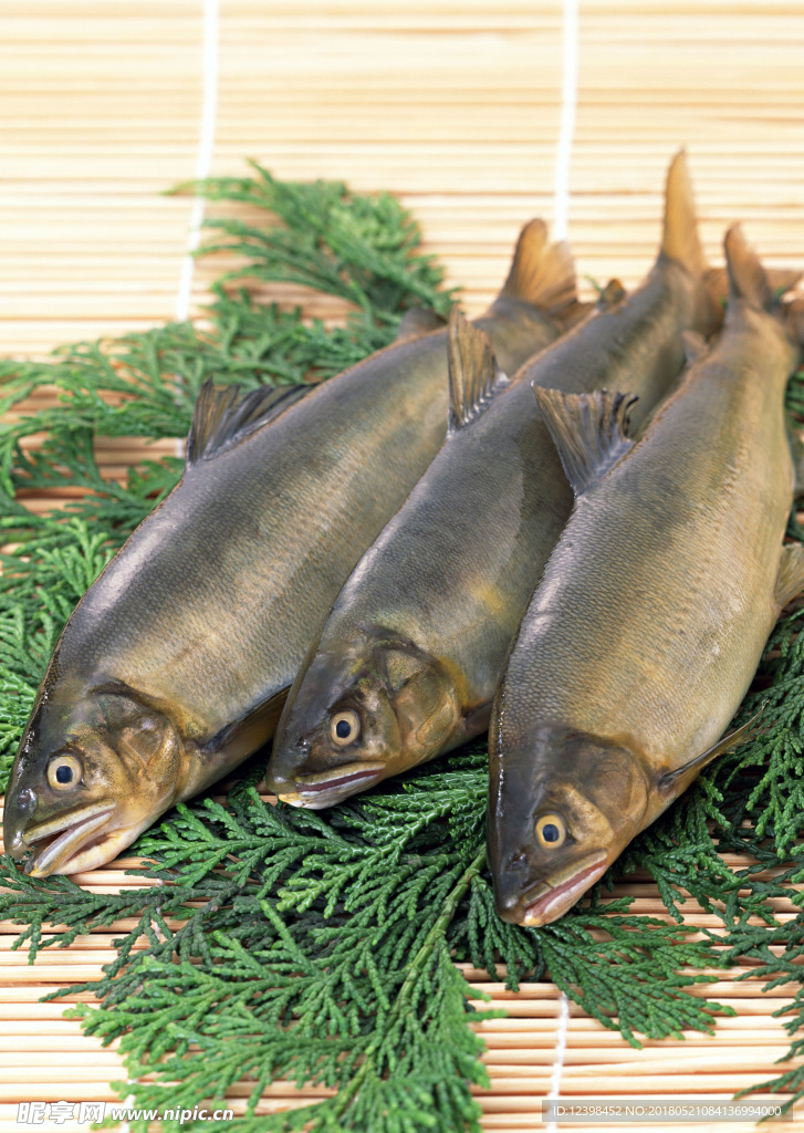 鮮魚