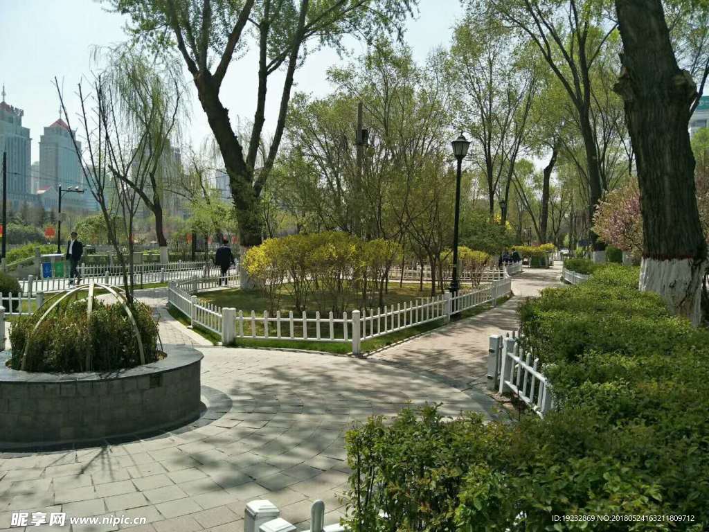 公園  道路  夏天   藍天