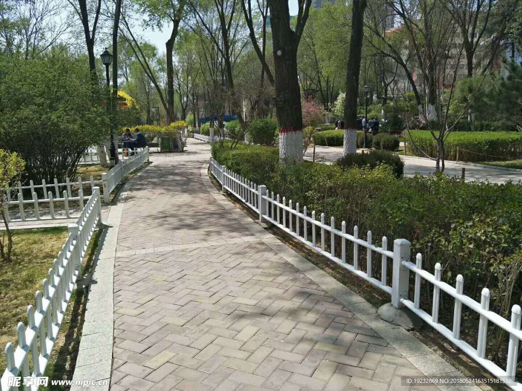 林蔭小道 護欄 綠色