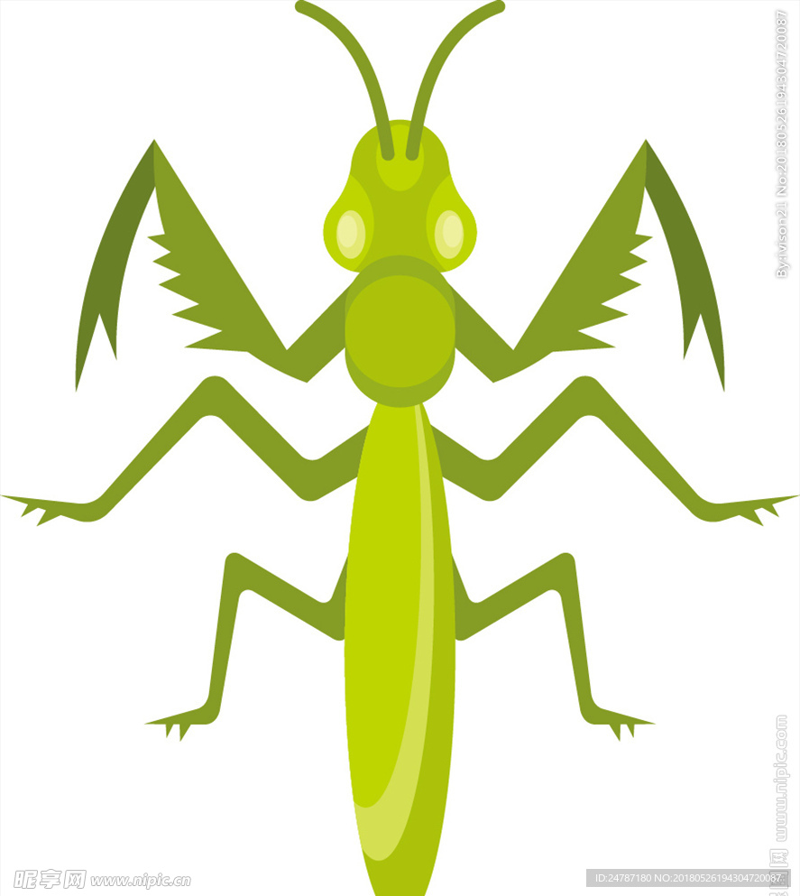 矢量卡通绿色螳螂