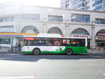 青岛公交车