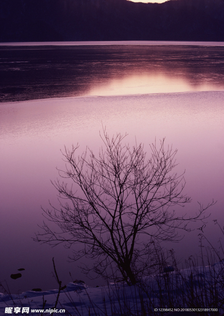晨曦中的湖泊