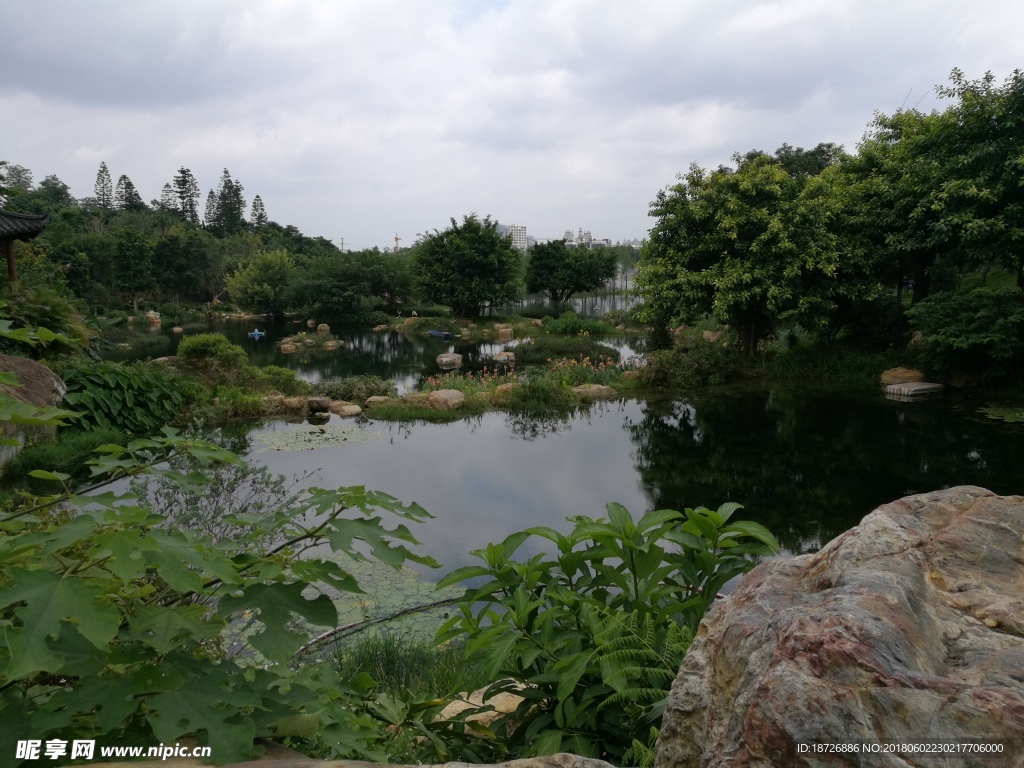 公園小湖