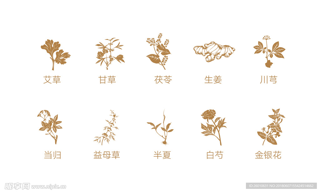 中草藥 植物