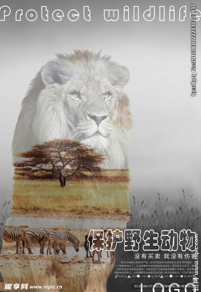 保护野生动物图片海报背景下载