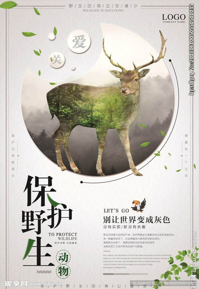保护野生动物图片海报背景下载