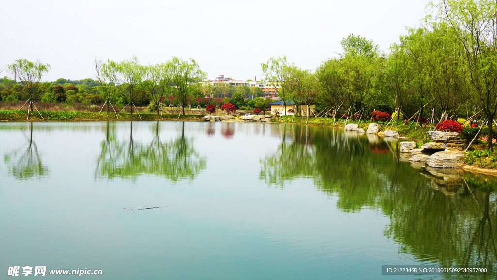 公園水景