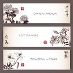 中国传统横幅水墨花鸟画