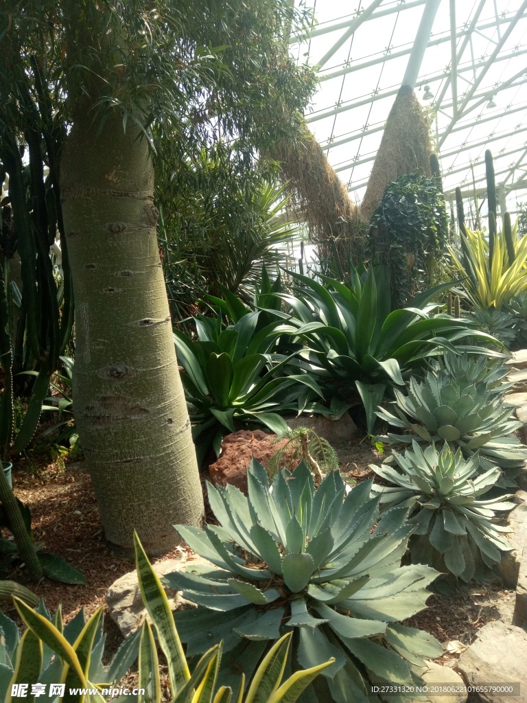 溫室植物園