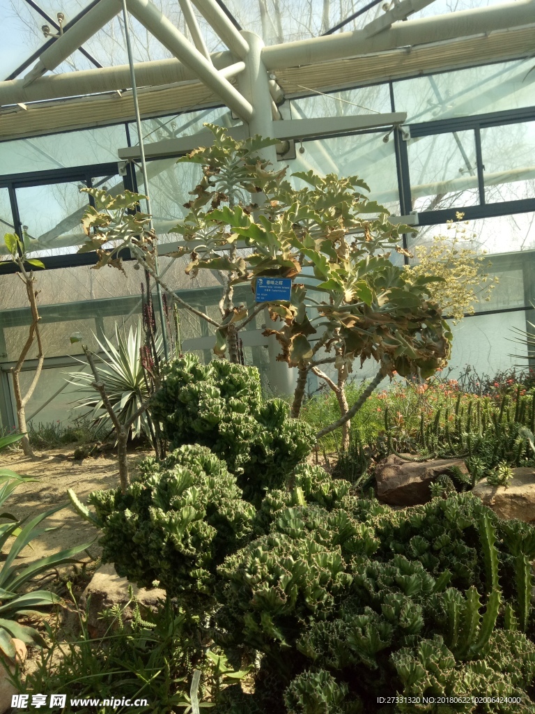 中山植物園